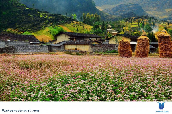 5D4N Ha Noi- Ha Giang- Meo Vac - Dong Van - Hagiang Loop