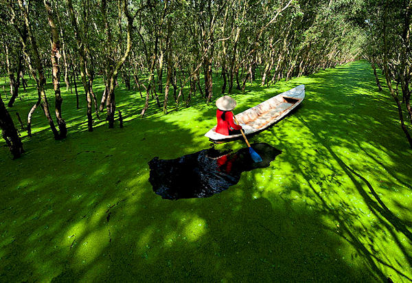 3D2N (HCM - Can Tho - Chau Doc)