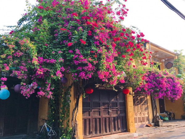 5D4N Hoi An - Da Nang - Hue